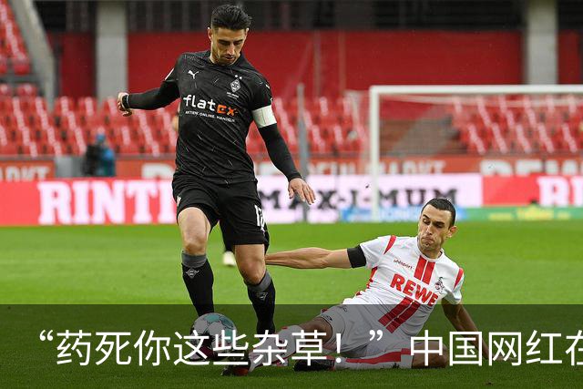 “药死你这些杂草！”中国网红在富士山脚狂喷不明液体，被抓包后说：这只是纯净水！