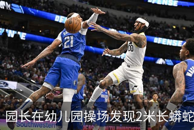 园长在幼儿园操场发现2米长蟒蛇,警察赶到后却听到其腹腔传来哭声