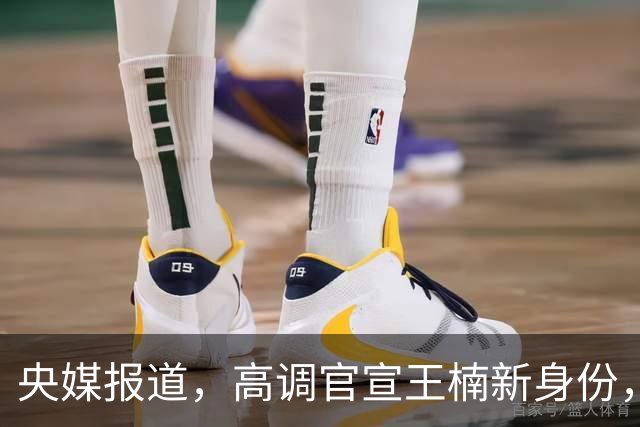 央媒报道，高调官宣王楠新身份，资产查封被带走调查传闻早有真相