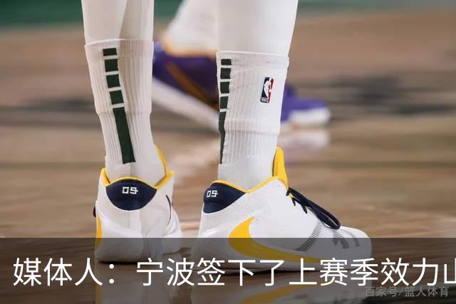 媒体人：宁波签下了上赛季效力山东男篮的后卫外援迈尔斯・鲍威尔
