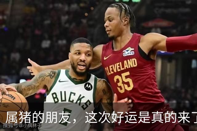 属猪的朋友，这次好运是真的来了
