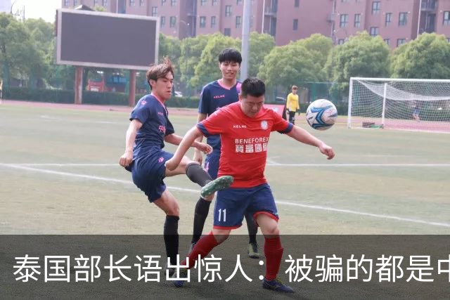 泰国部长语出惊人：被骗的都是中国人，是因为受害者自己贪心？