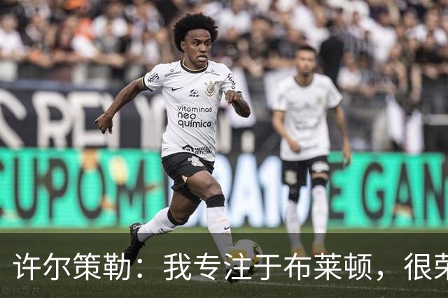许尔策勒：我专注于布莱顿，很荣幸身处一个良好的执教环境