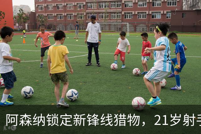 阿森纳锁定新锋线猎物，21岁射手8场7球领跑意甲